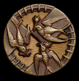 Antique Vintage Button 3 Birds Hankerchief Wood Back In Brass Large Sz Xl
