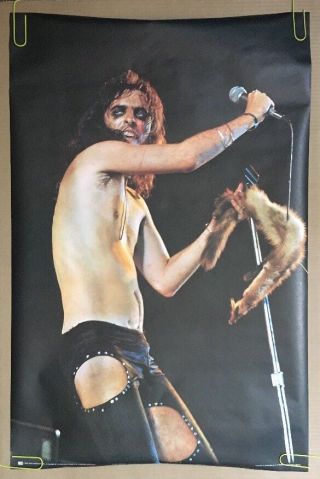 Vintage Poster Alice Cooper 1972 Pace Posters Photograph Concert Live 70 