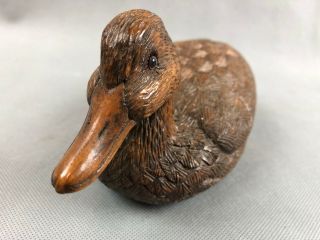 Small Highly Detail Wood Carved Glass Eyes Duck Decoy Art Sculpture Sign G.  B. 5