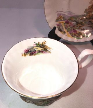 Vintage Royal Albert China Footed Tea Cup and Saucer 4