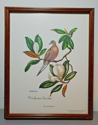 Anne Worsham Richardson Signed Print " Dove With Magnolia " 1975 Framed Vintage