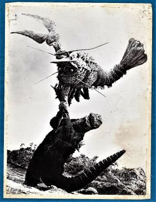 Vintage Photo Kaiju Monster Movie Godzilla Vs The Sea Monsters Jun Fukuda 1966 F