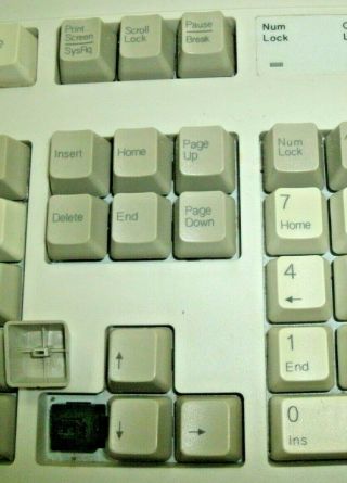 Vintage Dell PS/2 Beige AT101W Mechanical Clicky Keyboard GYUM90SK AT101W 3