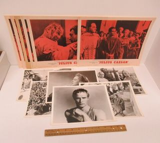 (14) Vintage 1953 Julius Caesar (11x14) Lobby Cards (1962) & (8x10) Photos W7536