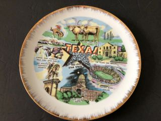 Vintage Rare Made In Japan W.  N.  Co.  Ceramics 10 - 1/4 " Souvenir Texas State Plate