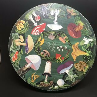 Vintage Springbok Jigsaw Circular Puzzle: Mushroom Puzzle By Booth Courtenay