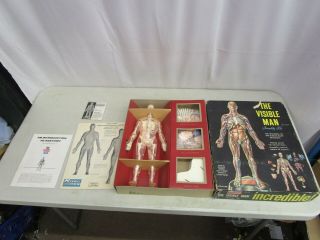 Vintage Renwal The Visible Man Assembly Kit (complete W/box & Instructions)