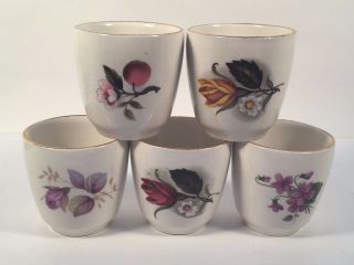 Vintage Ceramic Flower Egg Cups Set Of 5 - Antique Old Foley James Kent England