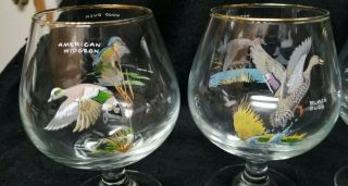 Vintage Ned Smith Art Glasses Brandy Snifters Ducks Gold Rimmed Glass Set of 4 3