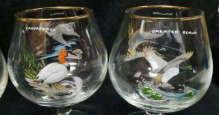 Vintage Ned Smith Art Glasses Brandy Snifters Ducks Gold Rimmed Glass Set of 4 4