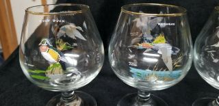 Vintage Ned Smith Art Glasses Brandy Snifters Ducks Gold Rimmed Glass Set of 4 5