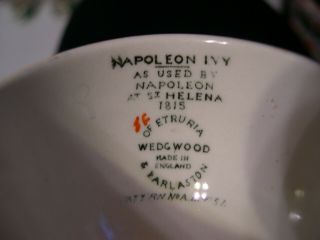 vintage Set of 3 Wedgwood of Etruria Napoleon Ivy Double Egg Cups 6