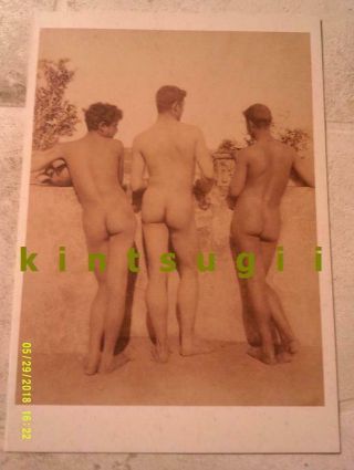 Von Gloeden Vtg Italian Teen Trio Affectionate Buddy Butts Male Nude Classic Gay
