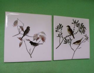Set Of 2 Vintage Wheeling Pottery Art Tiles With Perched Wild Birds On Branches.