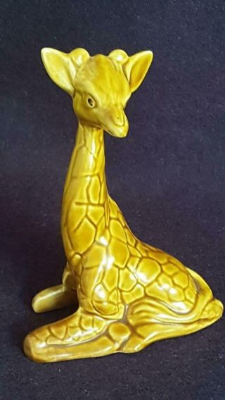 Fantastic Rare Mid - 20th Century Vintage Sylvac Giraffe (honey) Mould Number 5234