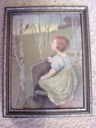 Antique Picture Of A Girl Looking At A Bird Robin In Orig.  Frame 13.  5 " X 10.  5 "