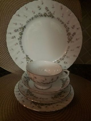 5 Pc Place Setting STYLE HOUSE PICARDY Mid Century Fine China Floral Garland 3