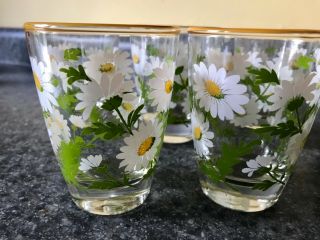 Set of 8 Vintage Libbey 6 oz Daisy Drinking Juice Glasses Tumblers 3