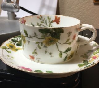 Vintage Tea Cup & Saucer Chas Field Haviland