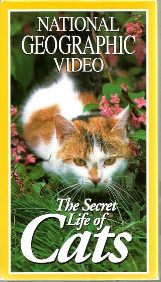 National Geographic Video - The Secret Life Of Cats Vhs 1998 Nature Predator Vtg