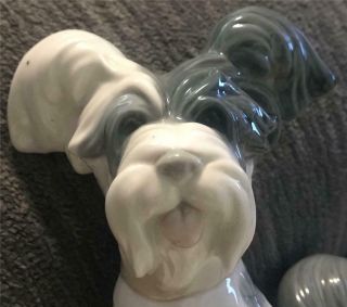 Vintage Lladro Porcelain 5 3/4 " Tall Skye Terrier Dog Figurine