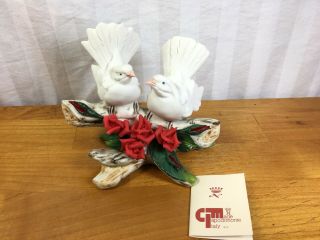 Vintage Porcelain Capodimonte Two Doves With Red Roses Figurine Sculptor (g)