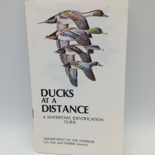 Ducks At A Distance Waterfowl Identification Guide Us Fish And Wildlife Service