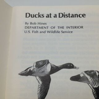 Ducks At a Distance Waterfowl Identification Guide US Fish and Wildlife Service 4