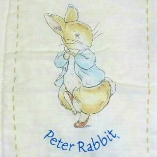 Vintage Beatrix Potter Peter Rabbit Baby Quilt Crown Crafts 31 X 40 "