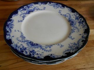 4 Vintage Homer Laughlin The Angelus Blue And White Floral Dinner Plates