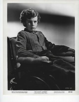 Vintage Black And White 1949 Photo Young Dean Stockwell 8 X 10