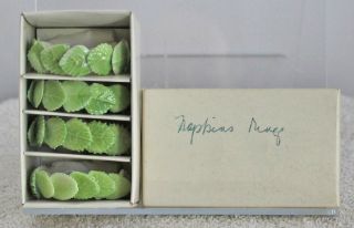 Napkin Rings Shafford Bone China Circle Of Ivy Set Of 4 Vintage Orginal Box