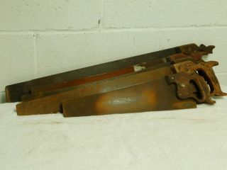 Vintage Untouched 5 Piece H.  Disston & Sons Hand Saw Selection (1)