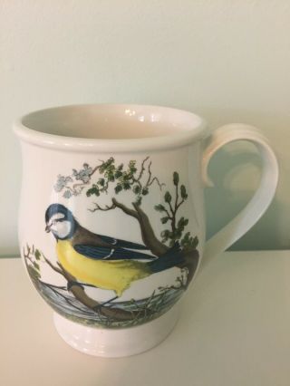Vintage Portmeirion Birds Of Britain Porcelain Mug Made In England