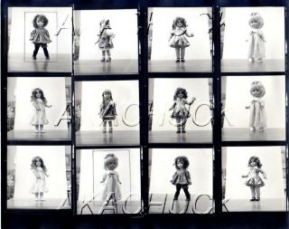 Vintage Antique Dolls R Hendrickson Negatives & Photograph Contact Sheet D658