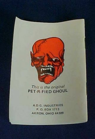 Vintage Transylvania Pet - R - Fied Ghoul Pet Rock Orignal Box 1976 ADG Akron OH 4