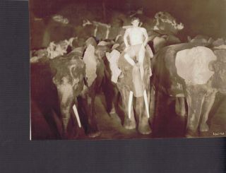 Tarzan Johnny Weissmuller Beefcake Vintage 1930 