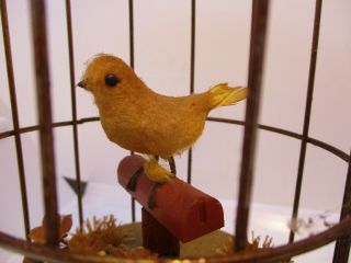 2 Schmid Mechanical Music Box Bird Cage Oh What A Morning Vintage 4