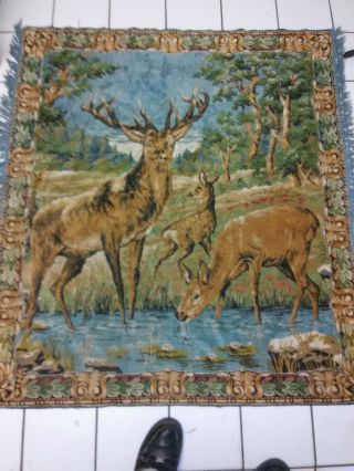 Vintage Buck Elk Deer Velvet Wall Tapestry Or Rug 48” X 50