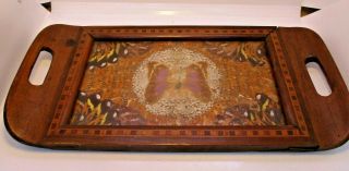 Vintage Butterfly Wing Art Inlaid Wood Tray 14.  5 " X 7.  25 "