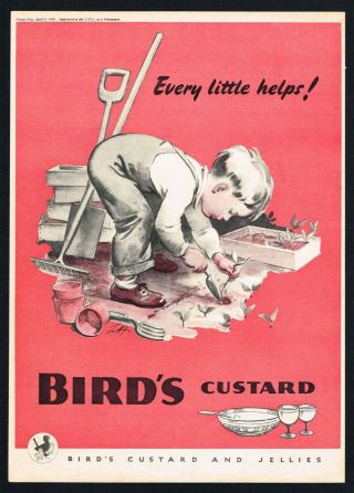Birds Custard Ad Gardening Kitchen Decor 1949 Vintage Print Ad Retro