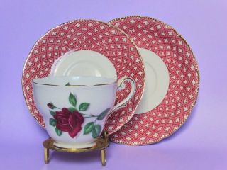 Vintage Red Velvet English Tea Cup & Royal Swan Saucer,  Plate,  Cute Cabinet Set