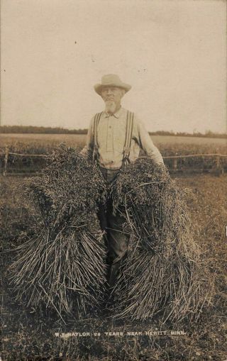 Vintage Postcard Rppc Farmer Showinf Harvest Near Hewitt Mn Minnesota