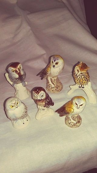 6 Vintage Variety Goebel W Germany Owl Figurines (a Bee In A V) Marking