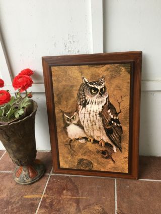 Vintage Richard Screech Vintage Owl wood Framed Plaque Picture Wall art 2