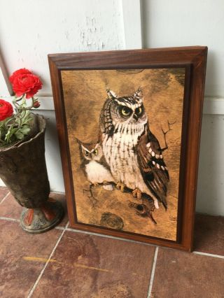 Vintage Richard Screech Vintage Owl wood Framed Plaque Picture Wall art 3
