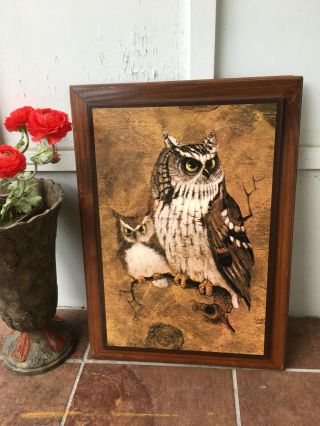Vintage Richard Screech Vintage Owl wood Framed Plaque Picture Wall art 4