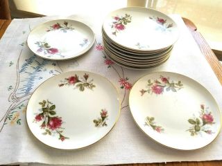 12 Vintage Moss Rose 6 " Bread/butter Plates - -