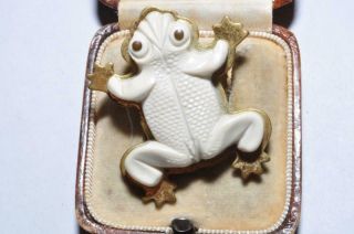 Classic Vintage Art Deco Carved Celluloid Brass Backed Frog Dress Clip