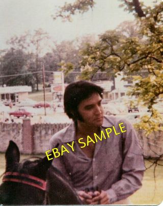 Vintage Elvis Candid Photo Horseback On Bear At Graceland Jun 